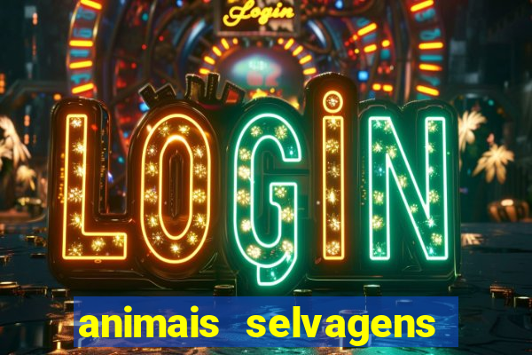 animais selvagens fotos e nomes